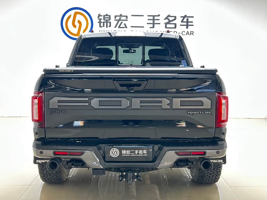 Ford F-150 Raptor 2019 car image #32
