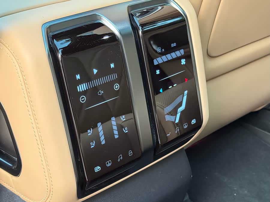 FangChengBao Leopard 8 2024 car image #32