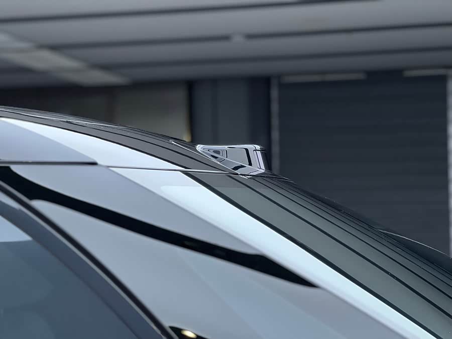 Zeekr 009 2024 imagen de coche #32