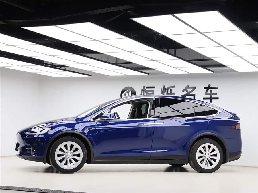 Tesla Model X 2017 car image #32