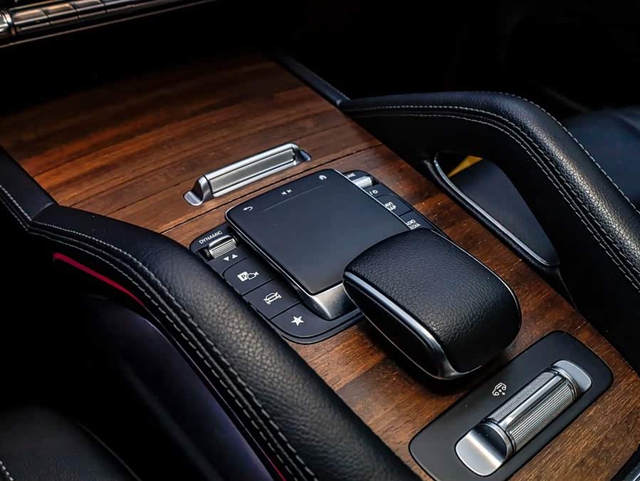 Mercedes-Benz GLE Class New Energy 2021 car image #32