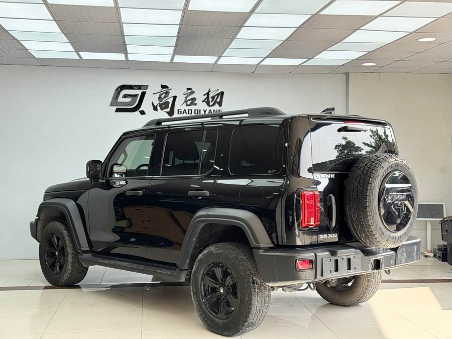 Tank 300 2022 car image #32