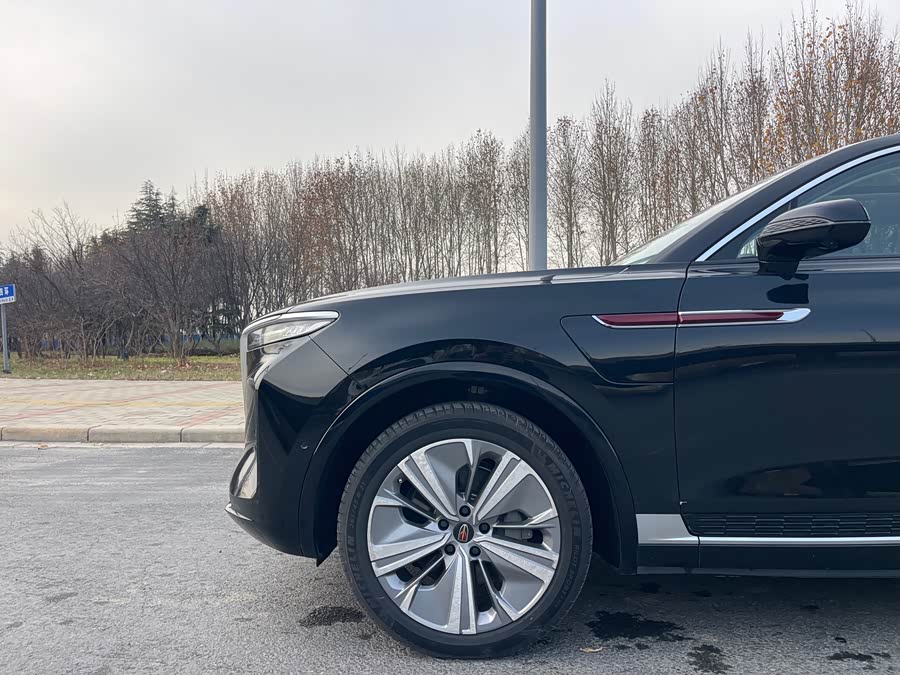 HongQi E-HS9 2023 изображение автомобиля #32