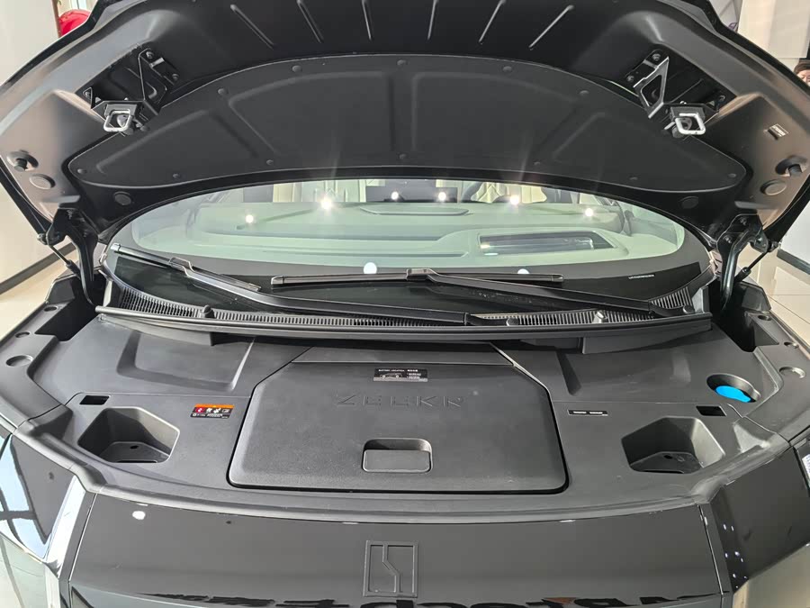 极氪 极氪009 2024 汽车图片 #32