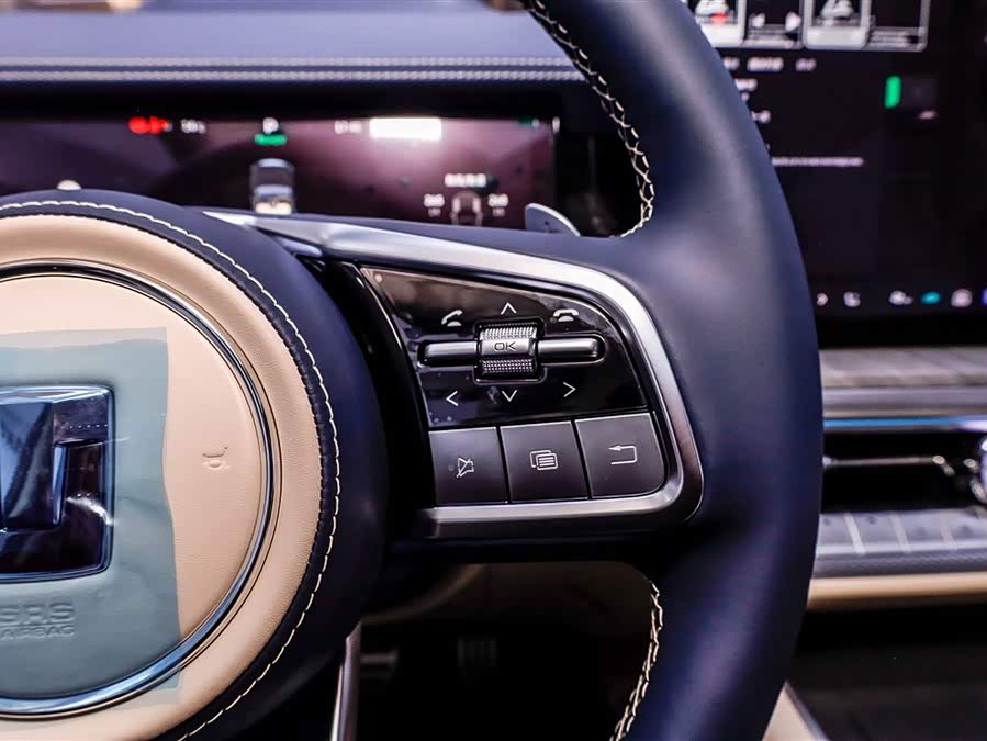 Tank 500 New Energy 2025 #32 Tank 500 New Energy 2025 car image #32