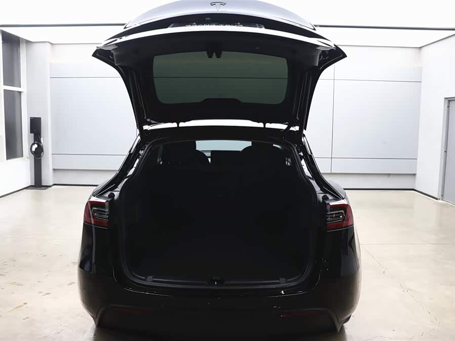 Tesla Model Y 2021 car image #32
