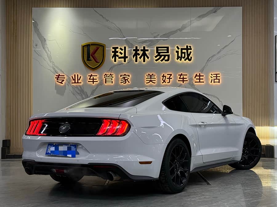 Ford Mustang 2019 #32 Ford Mustang 2019 car image #32