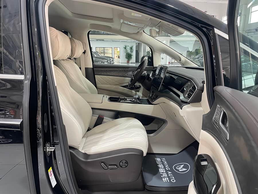 Denza D9 2025 imagen de coche #32