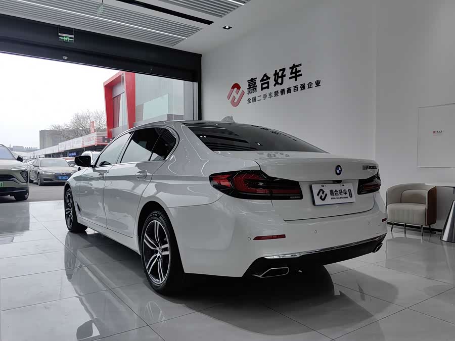 BMW 5 Series 2021 car image #32