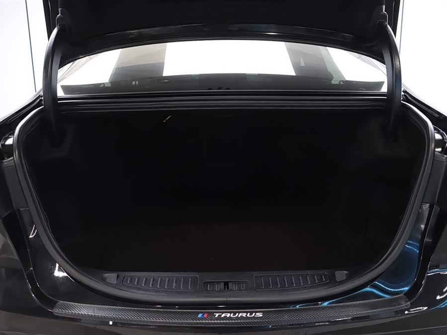 Ford Taurus 2020 car image #32