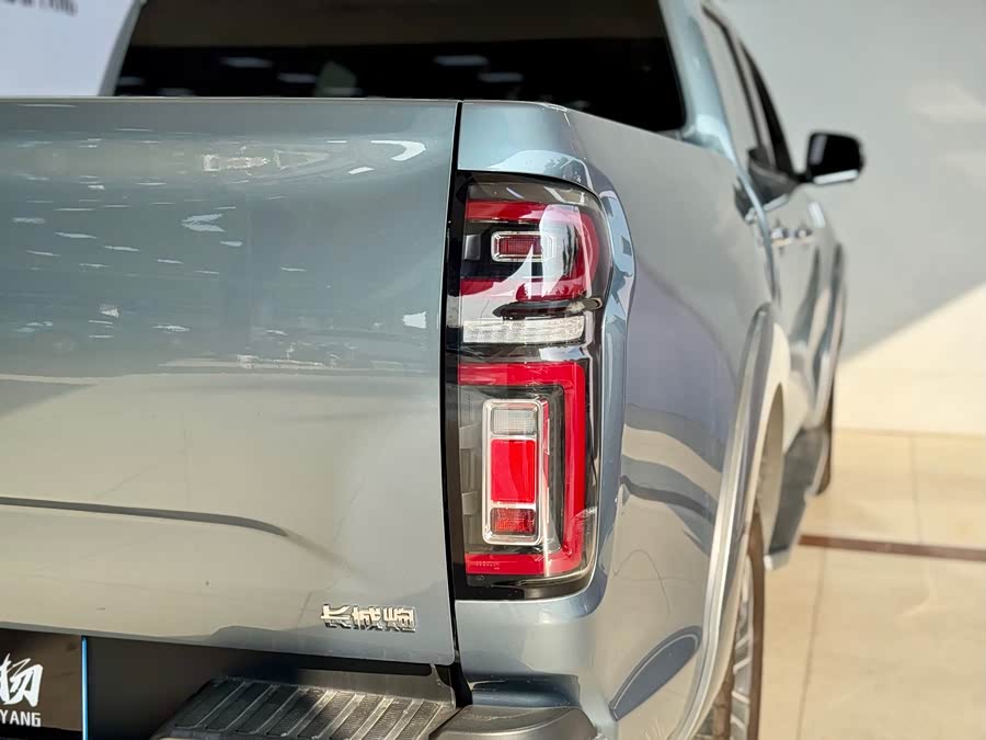 Great Wall Poer 2022 car image #32