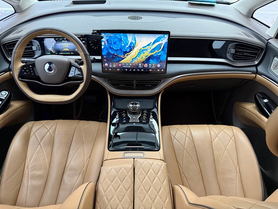 Denza D9 2023 car image #32