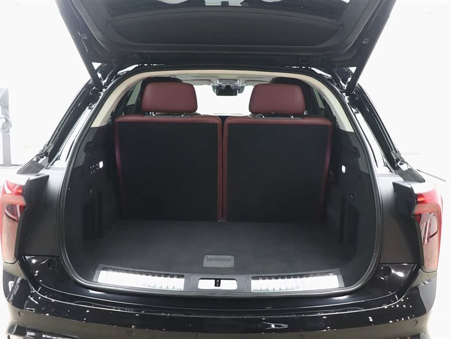 HongQi E-HS9 2023 immagine di auto #32