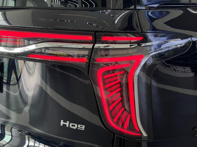 HongQi HQ9 2022 #32 HongQi HQ9 2022 car image #32