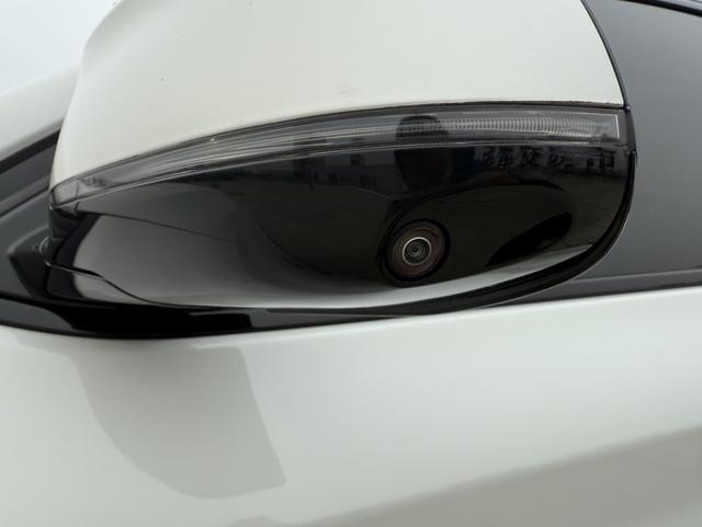 BMW X4 2021 car image #32