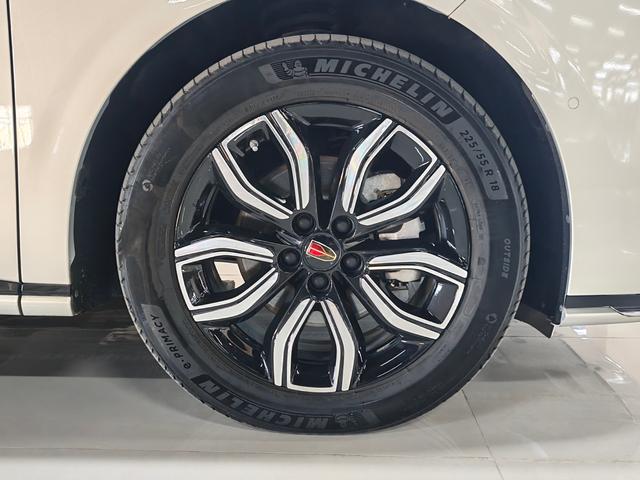 HongQi HQ9 2023 car image #32