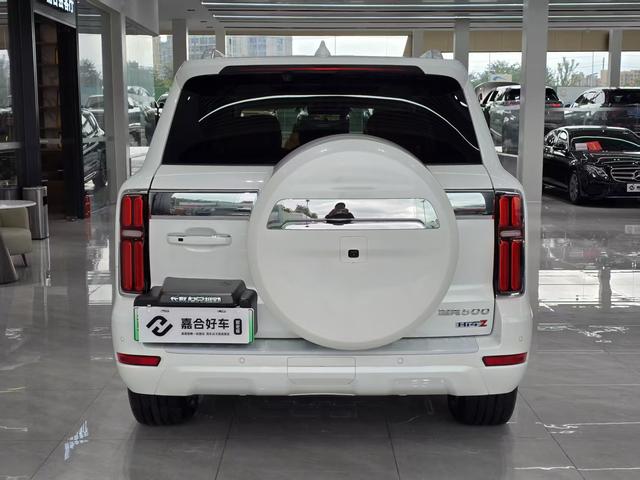 Tank 500 2024 car image #32