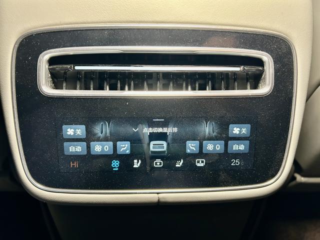 Denza N9 2025 car image #32