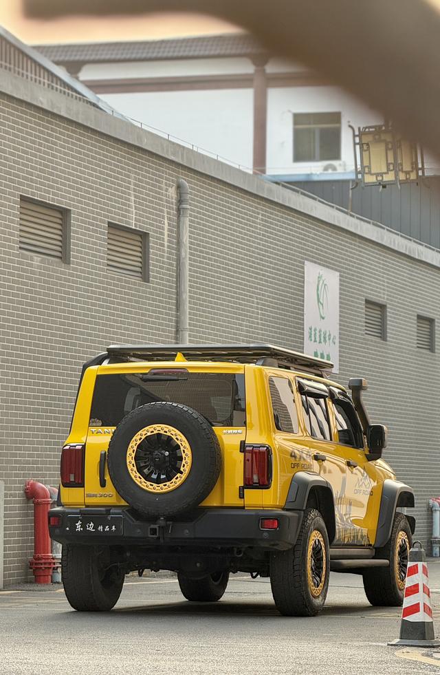 Tank 300 2022 imagen de coche #32