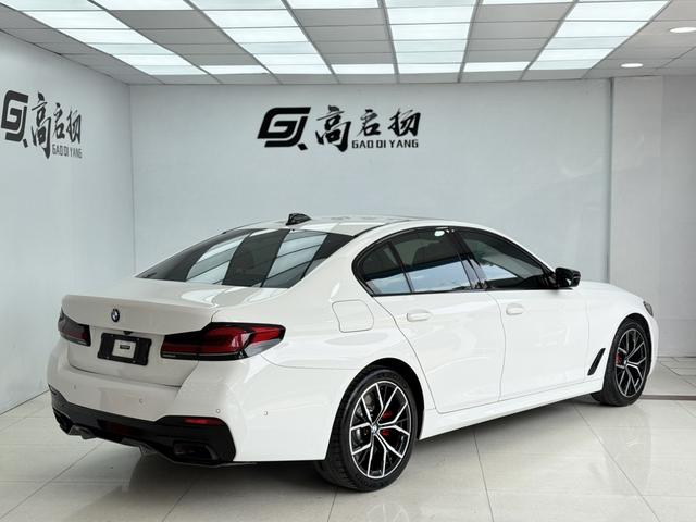 BMW 5 Series (Imported) 2020 car image #32