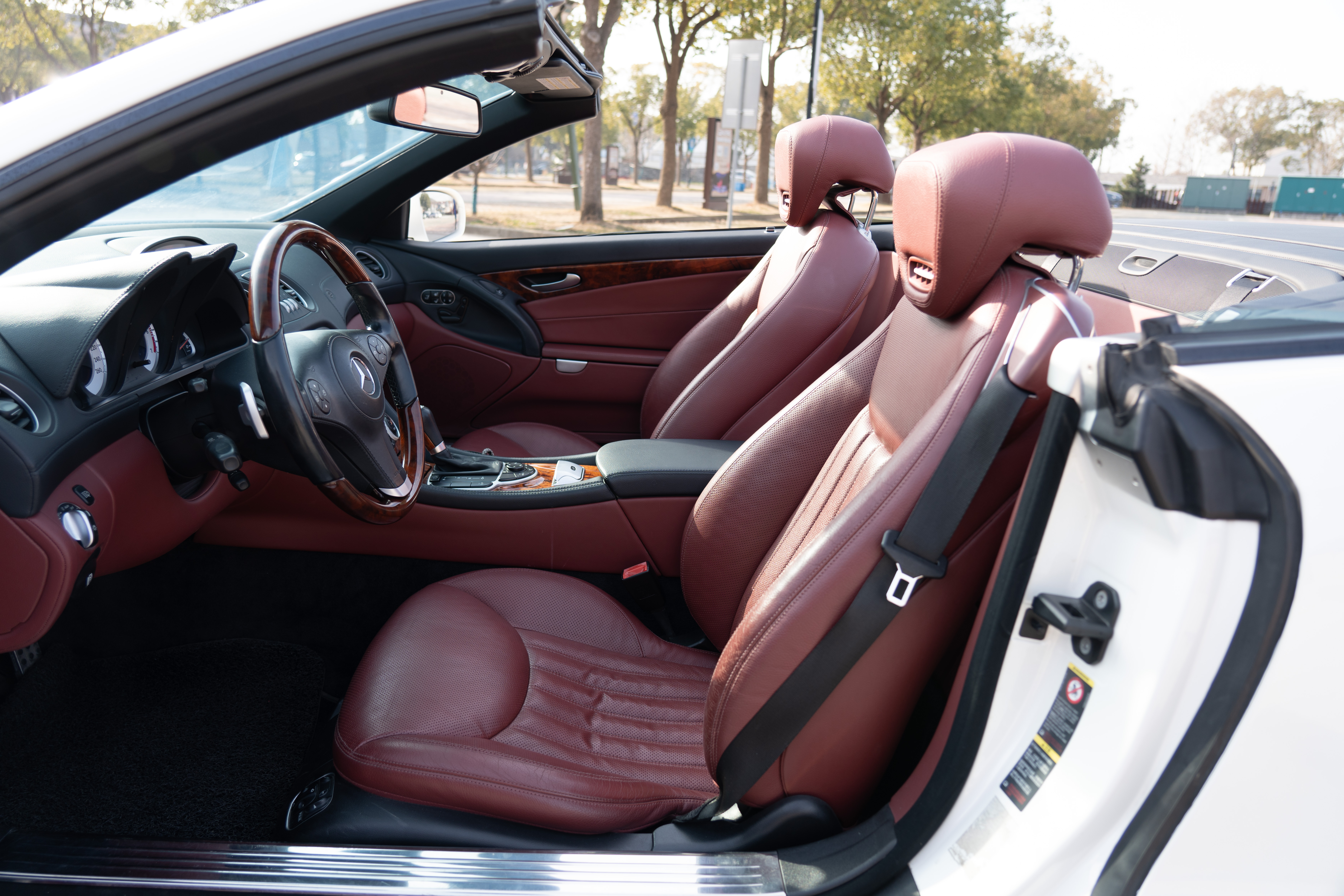 Mercedes-Benz SL Class 2010 immagine di auto #32