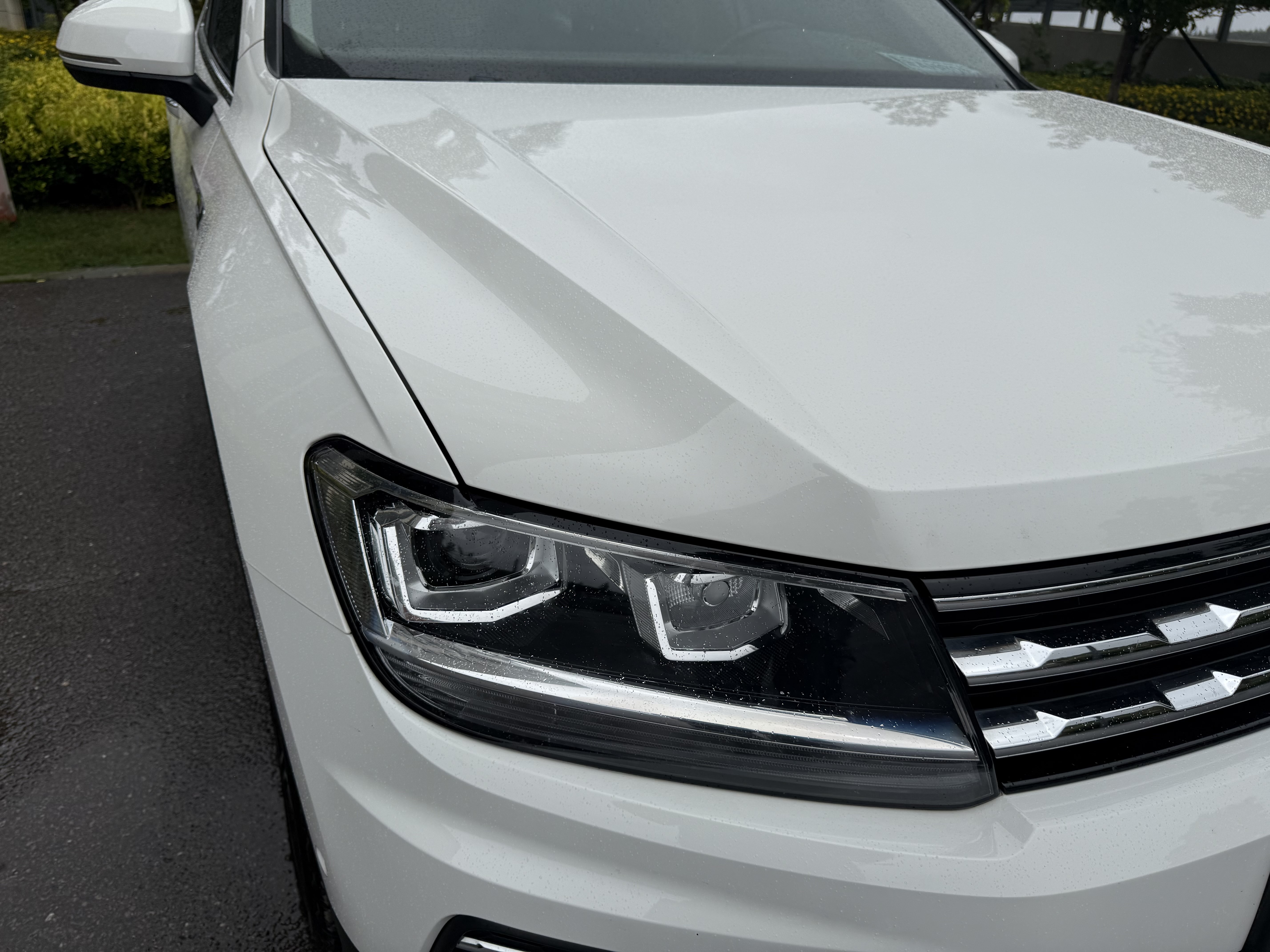 Volkswagen Tiguan L 2019 #32 Volkswagen Tiguan L 2019 car image #32