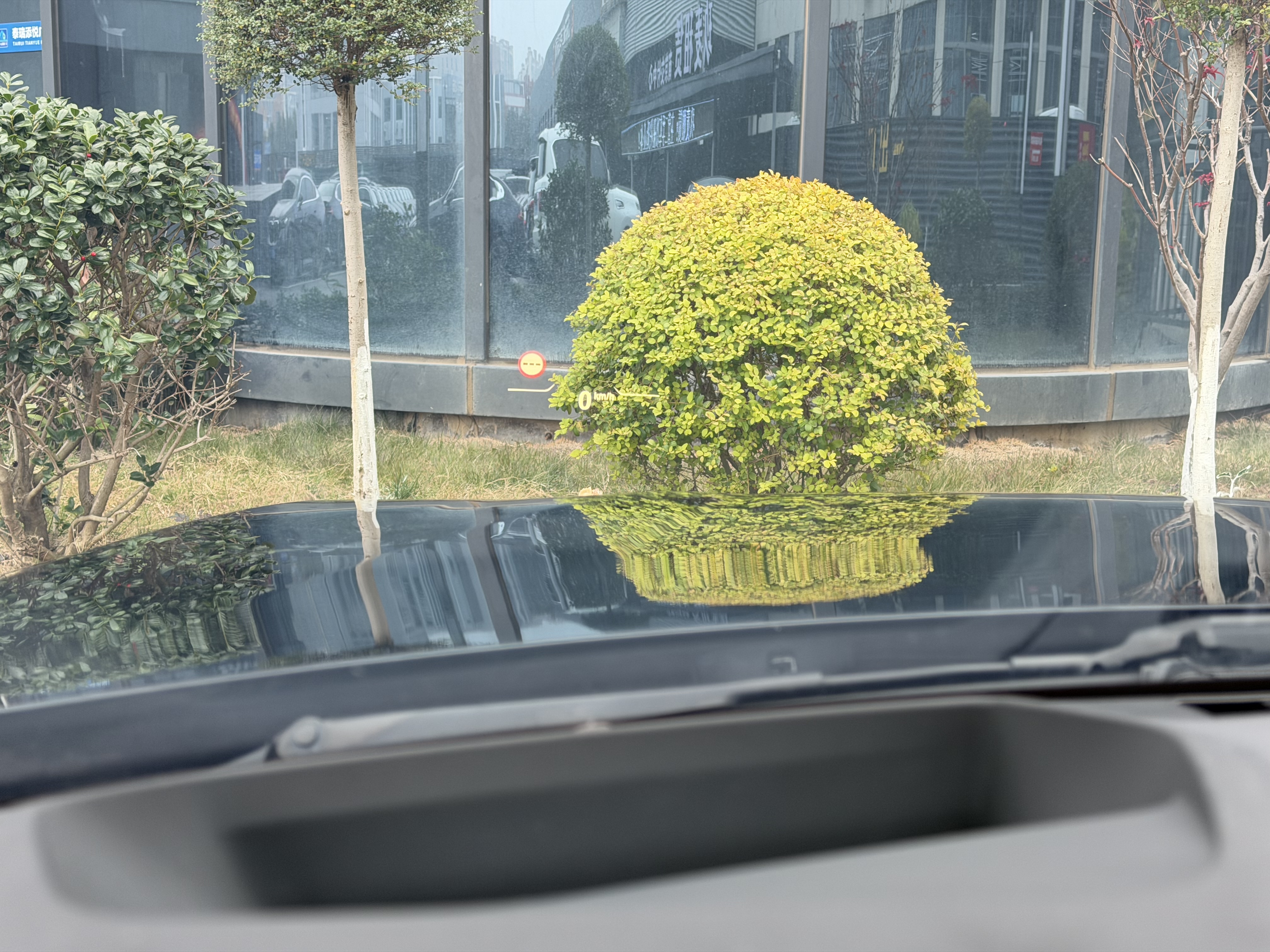 BMW Z4 2021 #32 BMW Z4 2021 car image #32