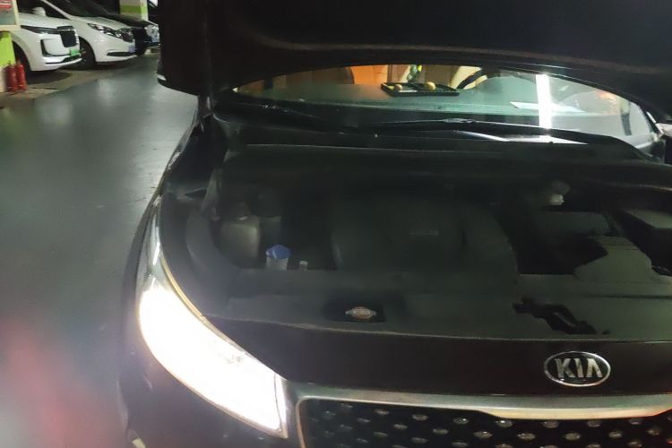 Kia Carnival (Imported) 2016 изображение автомобиля #32