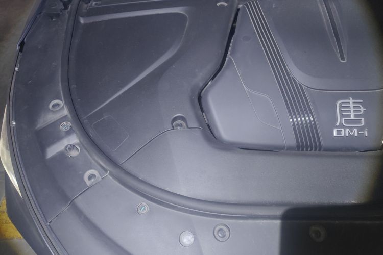 BYD Tang New Energy 2024 car image #32