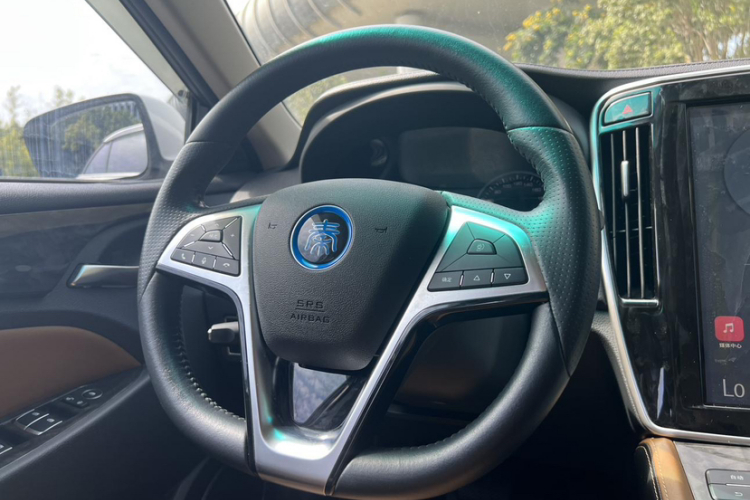 BYD Qin New Energy 2018 car image #32