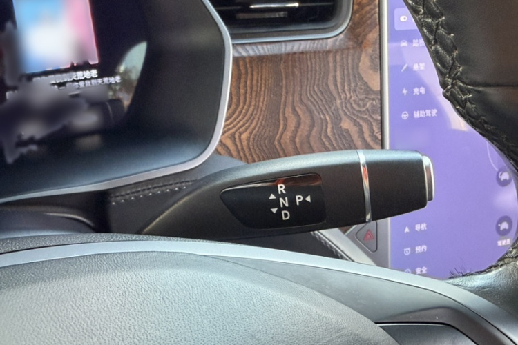 Tesla Model X 2019 immagine di auto #32