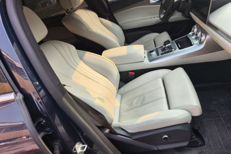 Denza X 2020 car image #32