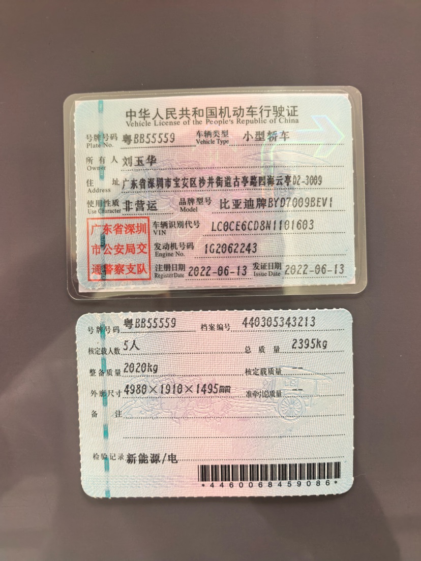 BYD Han 2022 immagine di auto #8