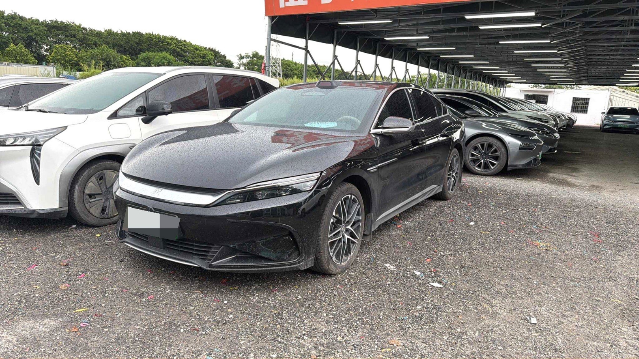 BYD Han 2026 BYD Han 2026 car image