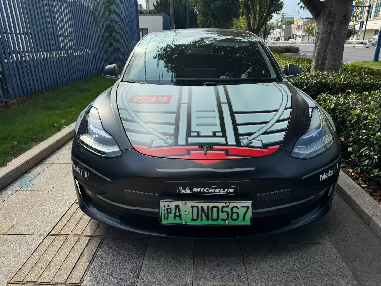 Tesla Model 3 2020 car image #6