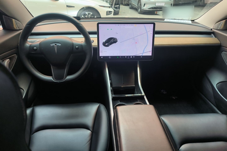 Tesla Model 3 2020 immagine di auto #10