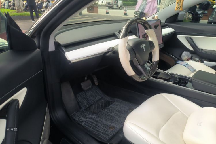 Tesla Model 3 2020 car image #18