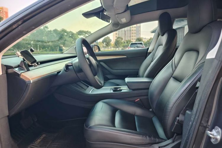 Tesla Model 3 2021 car image #15