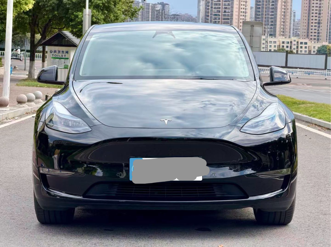 Tesla Model Y 2023 car image #4