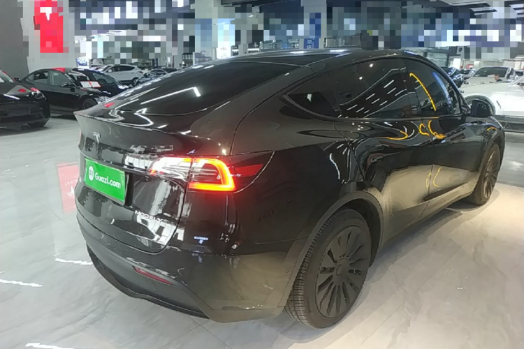 Tesla Model Y 2023 immagine di auto #7