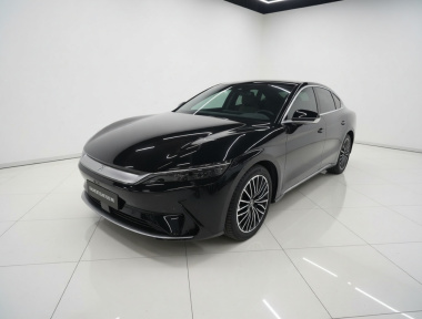 BYD Han 2021 BYD Han 2021 immagine di auto