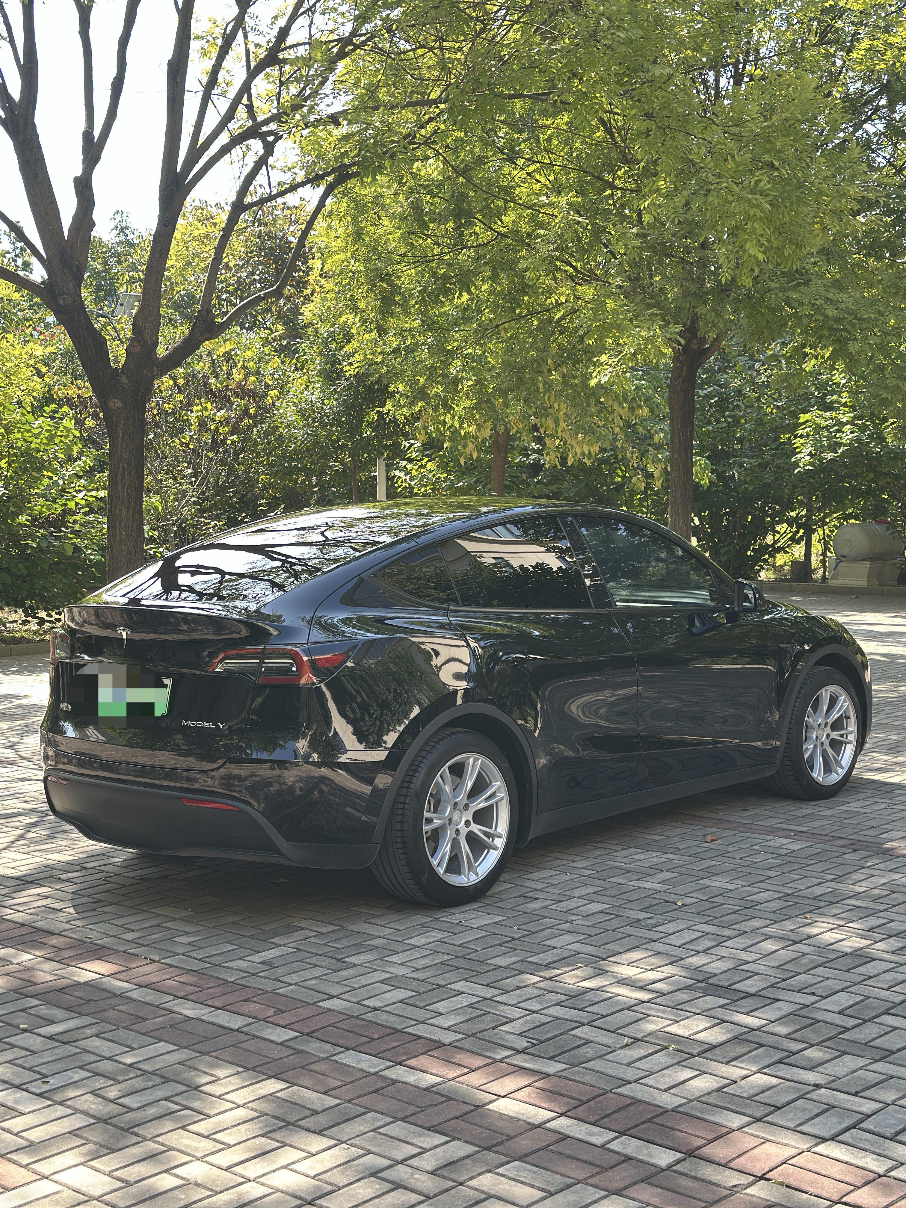 Tesla Model Y 2023 #7 Tesla Model Y 2023 car image #7