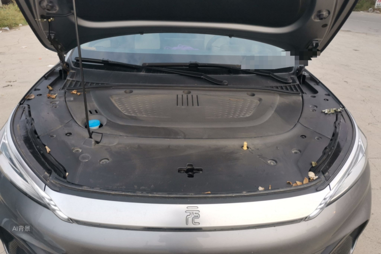 BYD Yuan Plus 2023 car image #22
