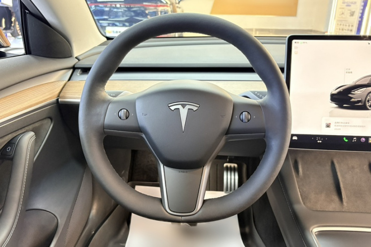Tesla Model 3 2022 #14 Tesla Model 3 2022 car image #14
