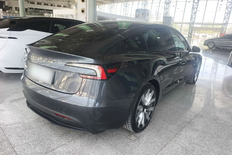 Tesla Model 3 2024 immagine di auto #7