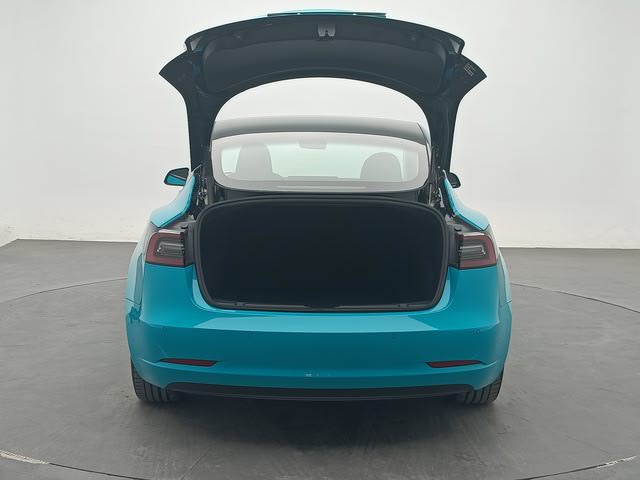 Tesla Model 3 2021 car image #5