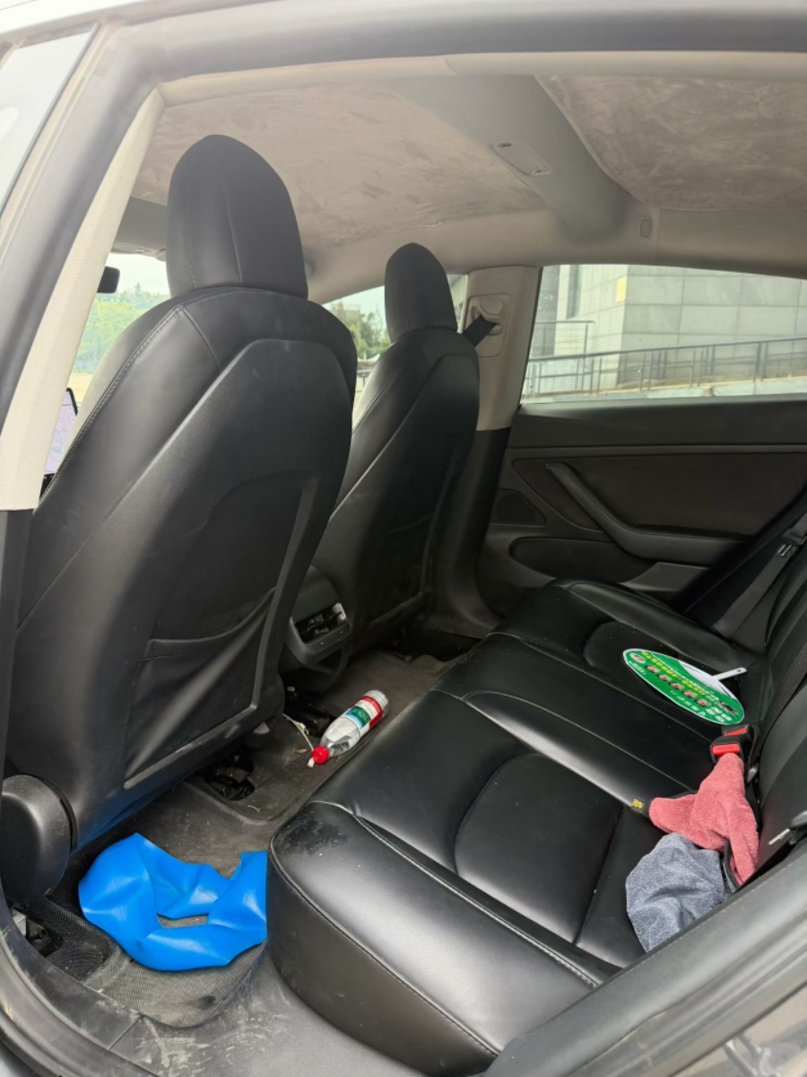 Tesla Model 3 2020 car image #5