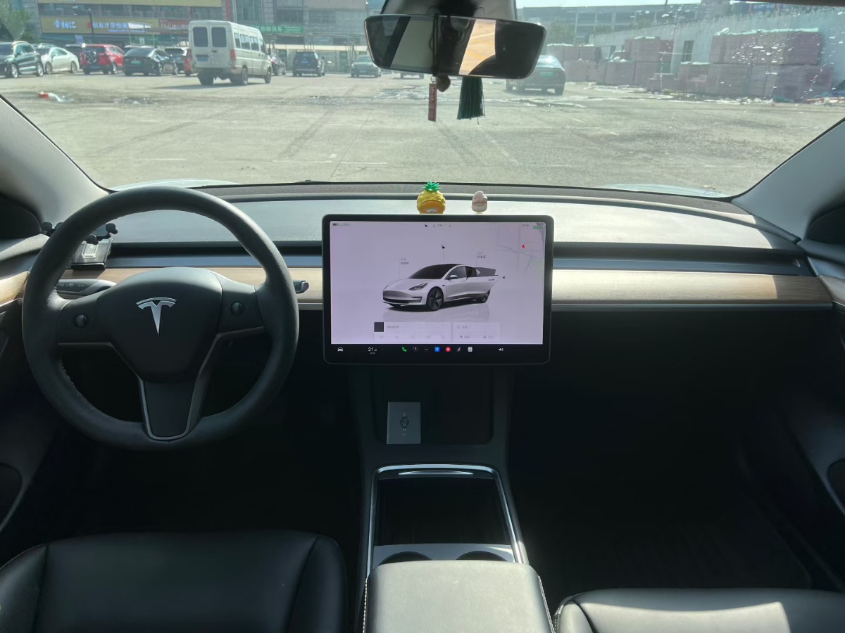 Tesla Model 3 2022 #6 Tesla Model 3 2022 car image #6