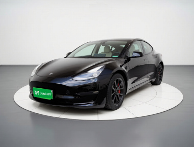 Tesla Model 3 2021 Tesla Model 3 2021 car image