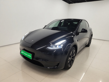Tesla Model Y 2024 Tesla Model Y 2024 car image